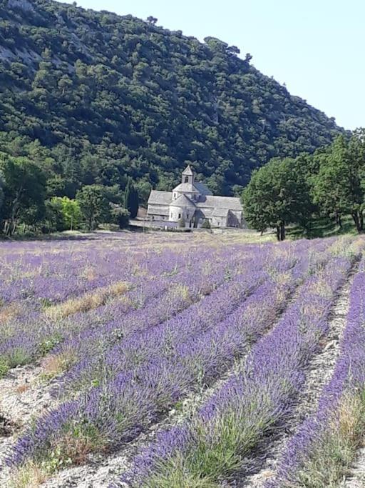 Bastidon Plein Sud Villa Gordes Kültér fotó