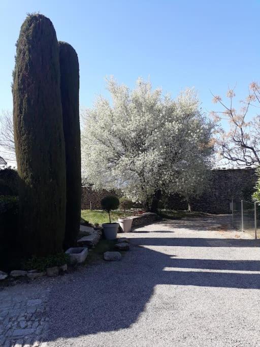 Bastidon Plein Sud Villa Gordes Kültér fotó